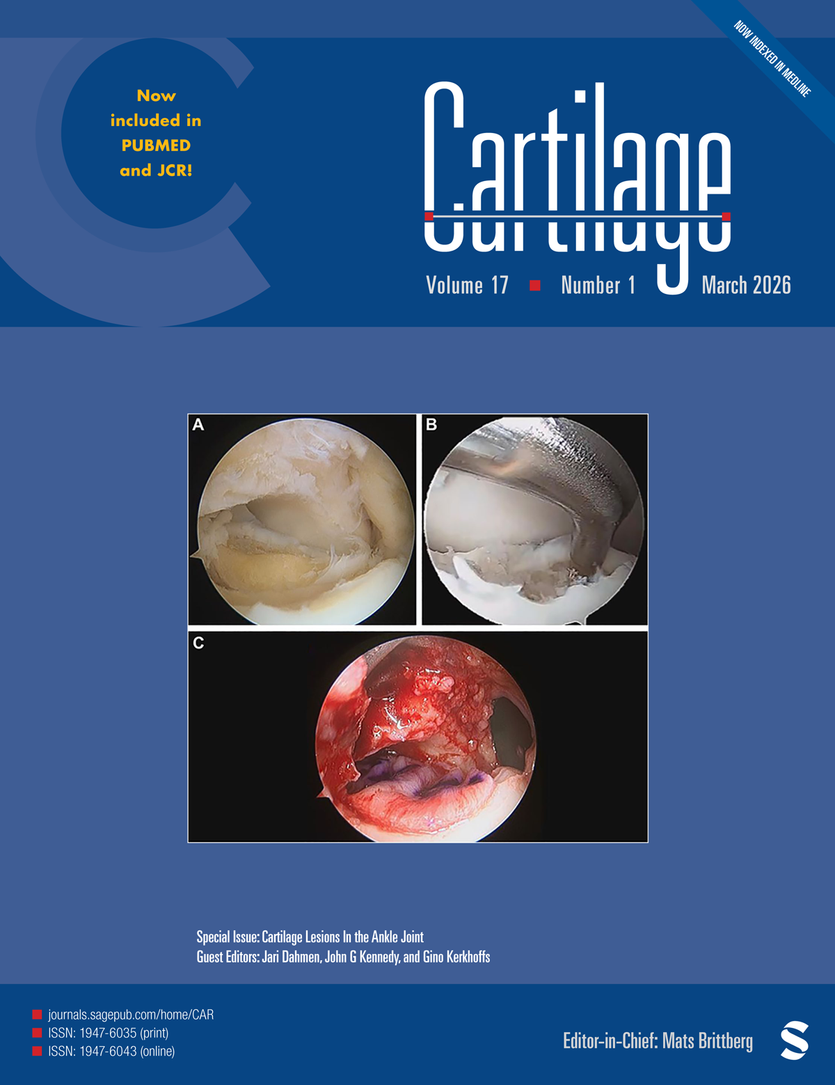CARTILAGE journal cover