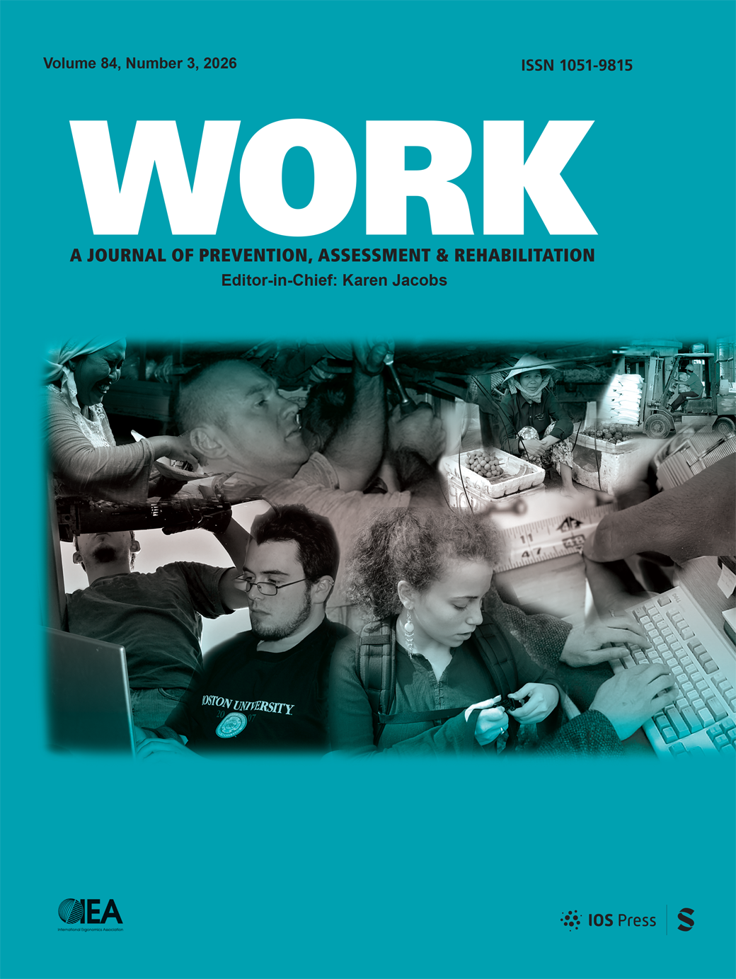 WORK: A Journal of Prevention,Assessment & Rehabilitation journal cover