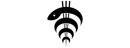 Society of Radiology in Iceland